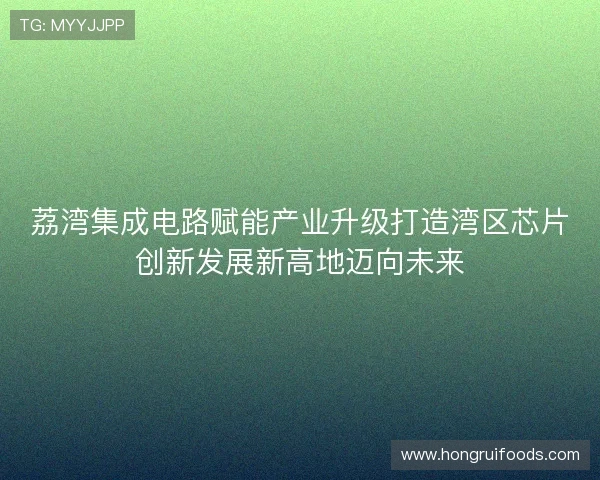 荔湾集成电路赋能产业升级打造湾区芯片创新发展新高地迈向未来